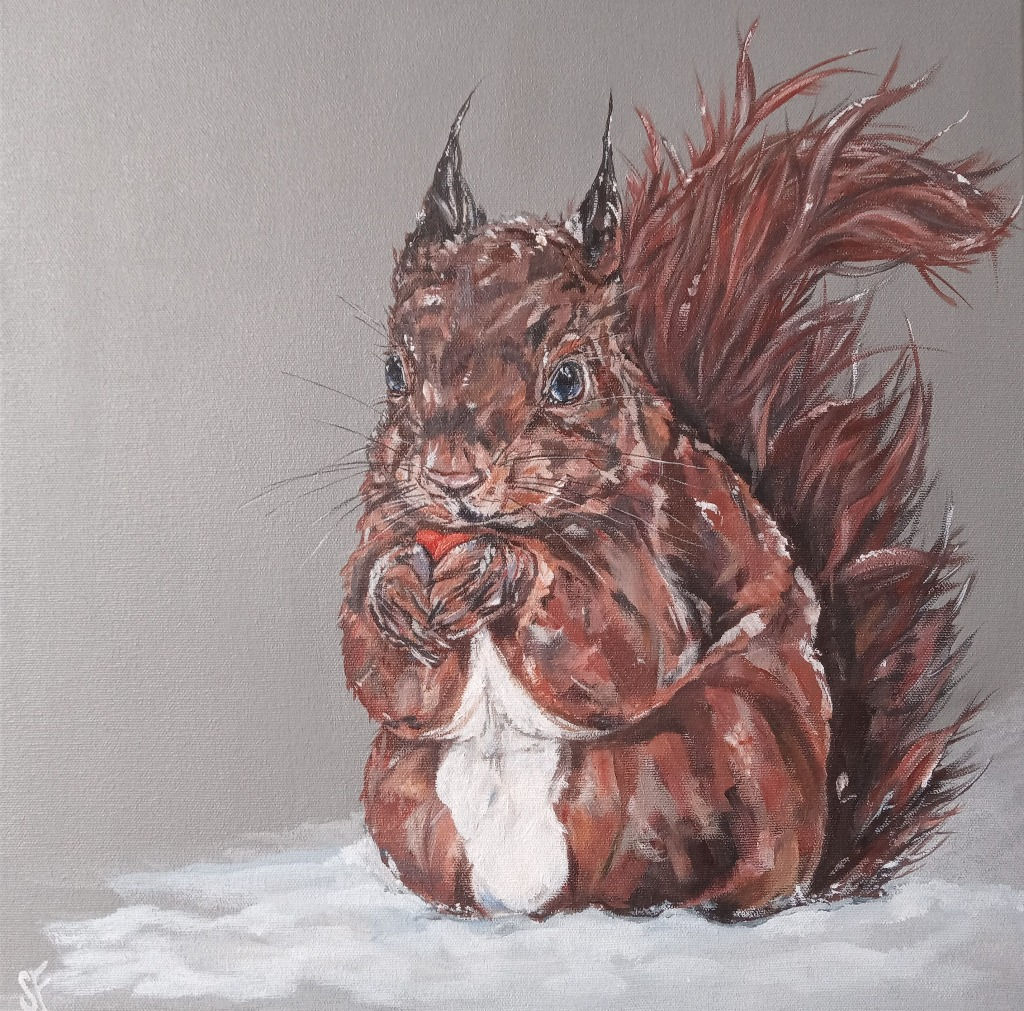 Red Squirrel Painting Picture