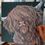 Thumbnail: Woolly Highland Cow Painting Picture