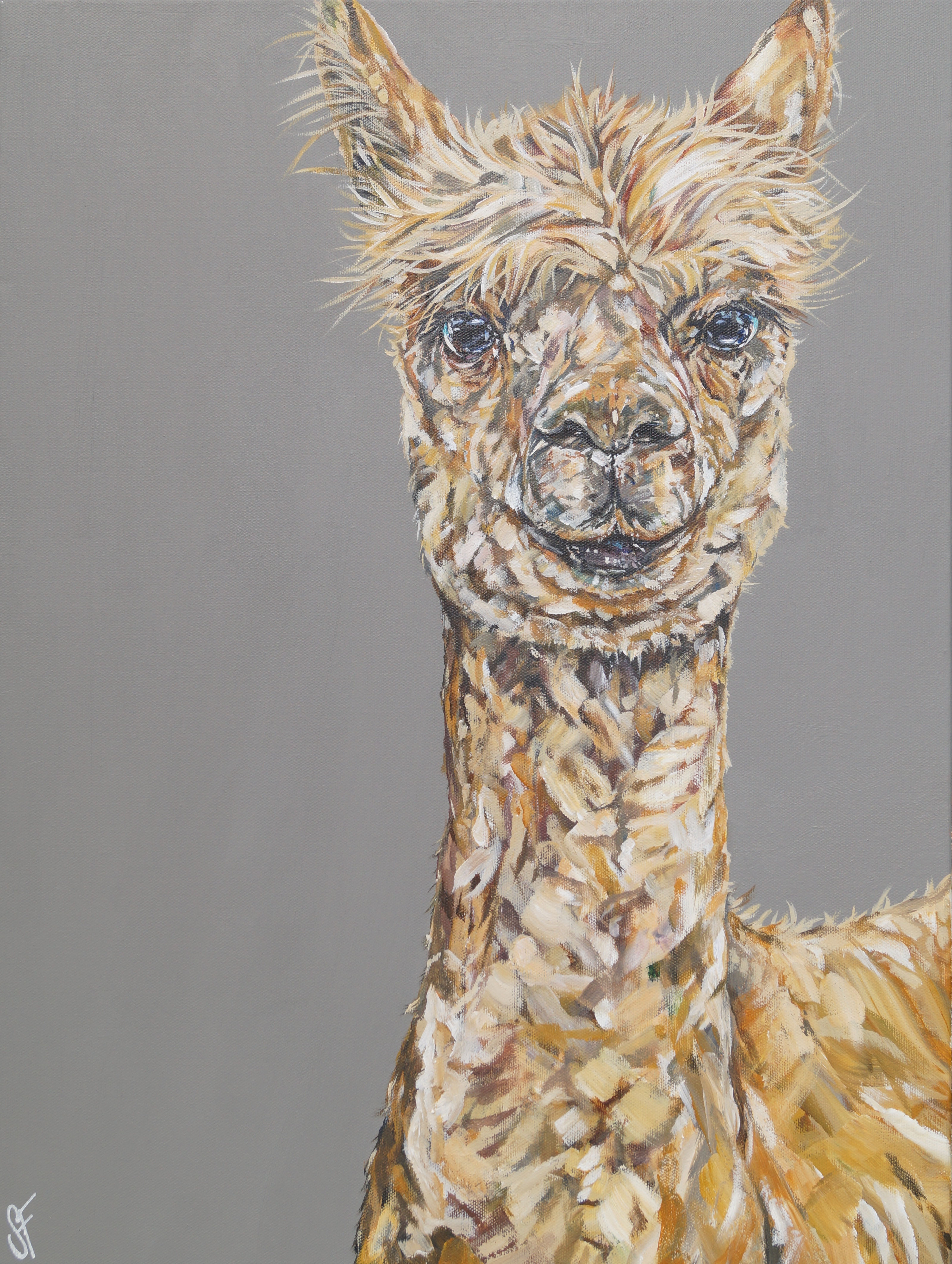 You Can Call Me Al ... (Paca)