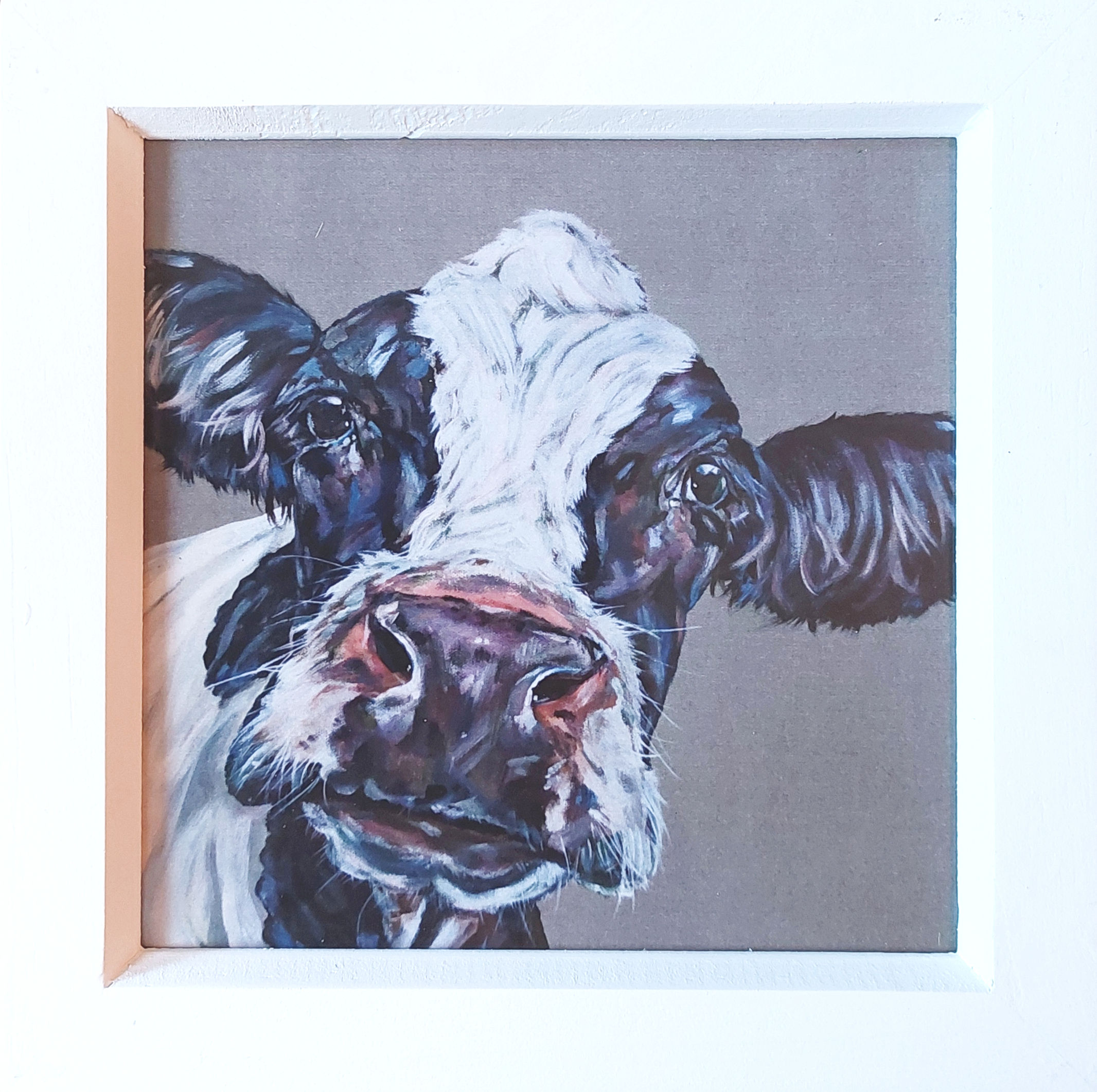 Soppy Moo! Framed Art Print