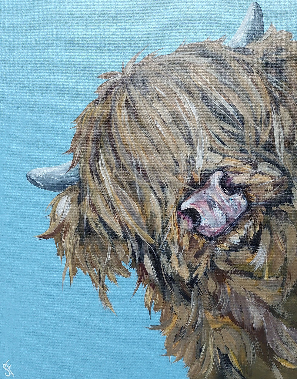 Original Art Highland Cow