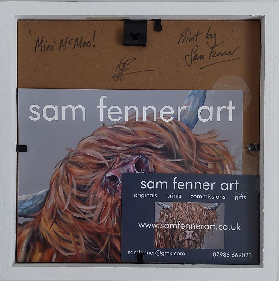 Thumbnail: Scottish Cow Framed Art Print