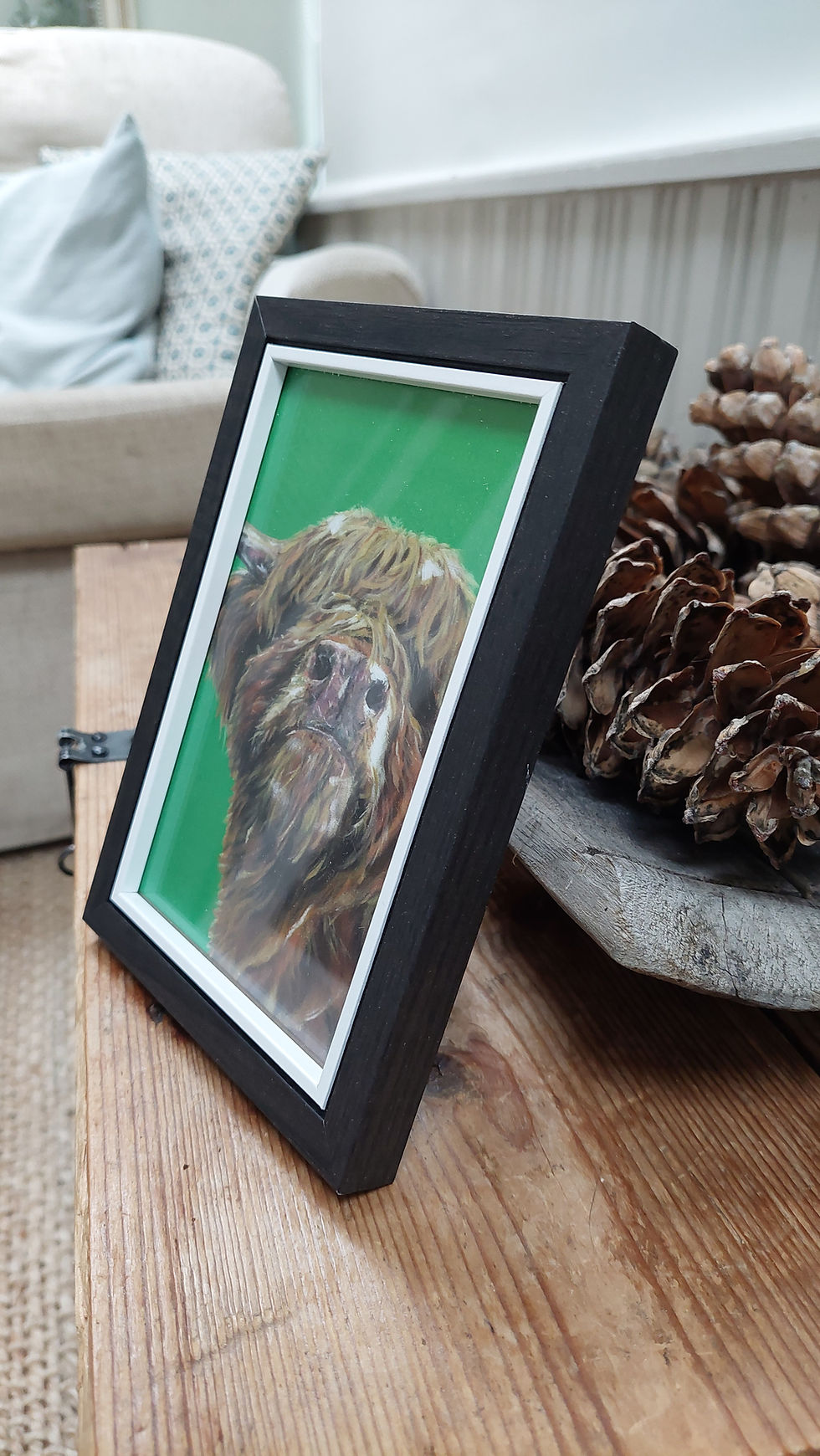 Highland Scottish Cow Framed Print For Sale