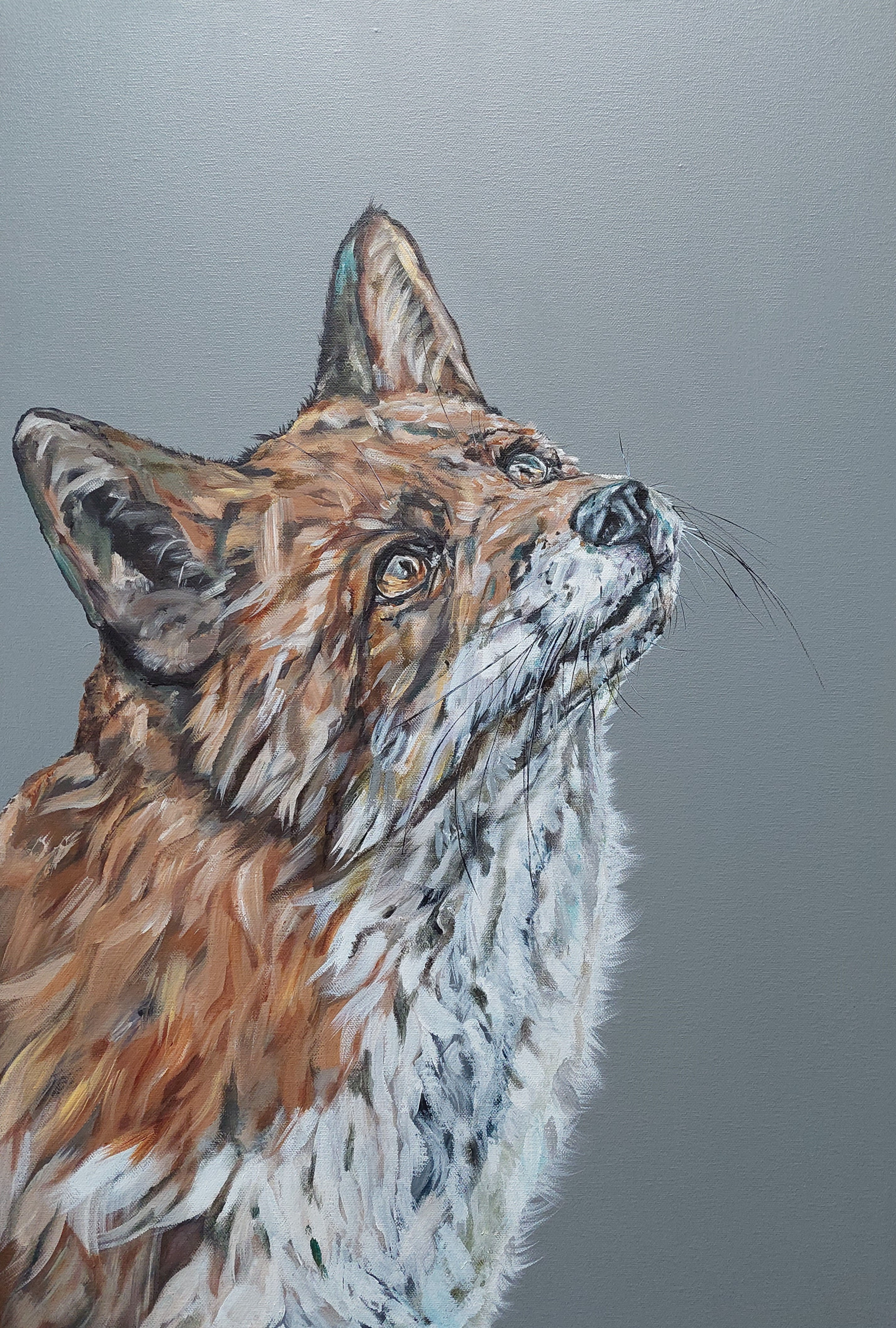 Red Fox Wall Art Picture Print