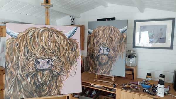 scottish cow art