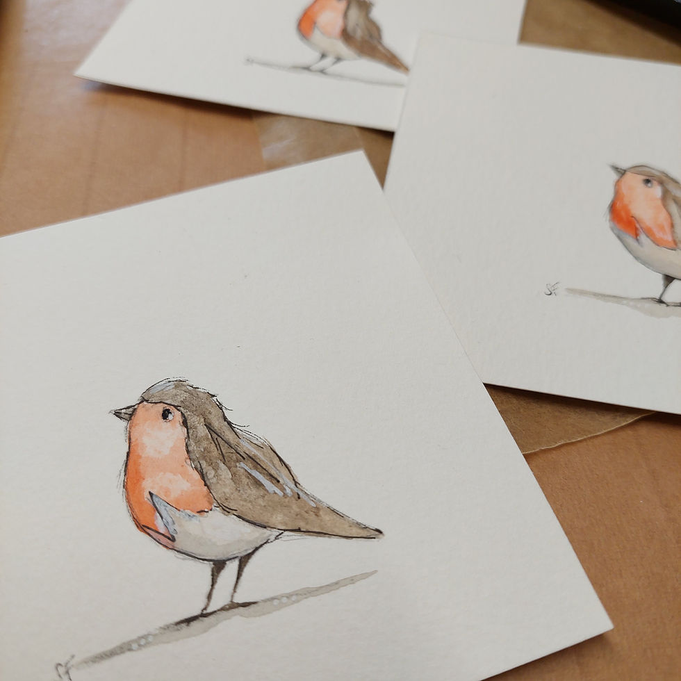 Robin picture hand painted