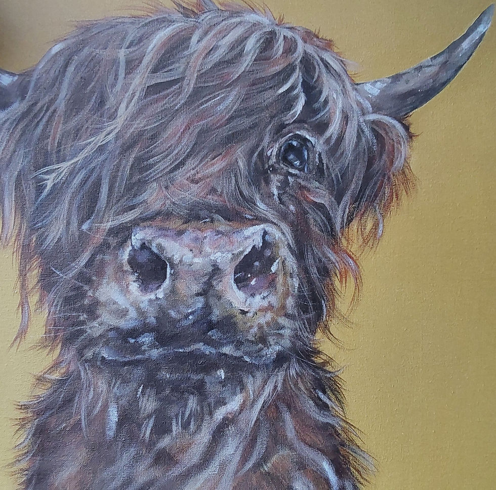 Scottish Hairy Cow Painting