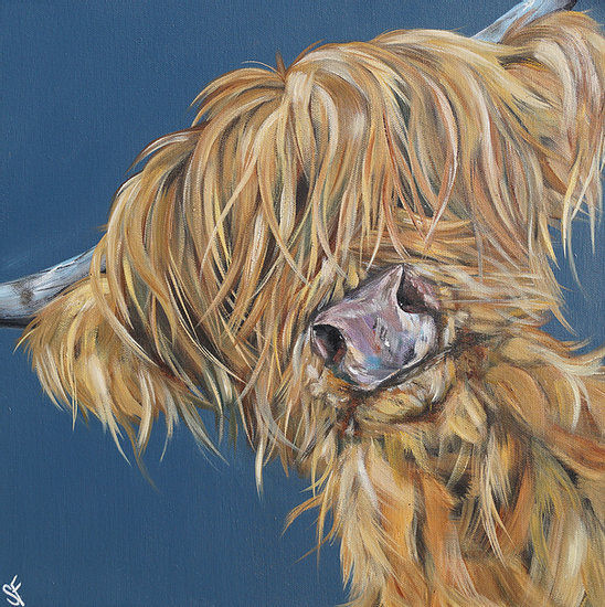 Highland Cow Greetings Card