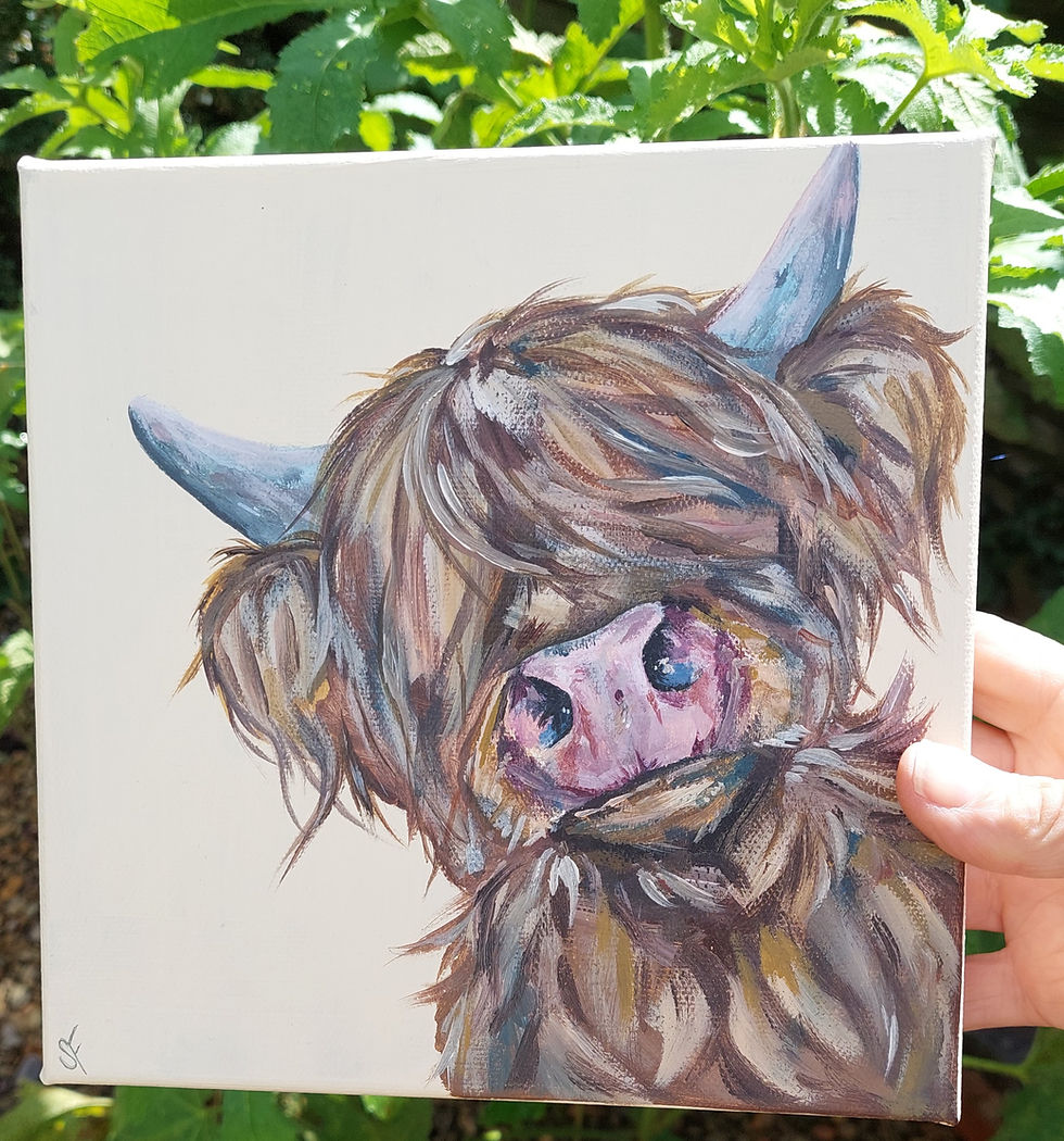 Original Painting Of A Highland Cow