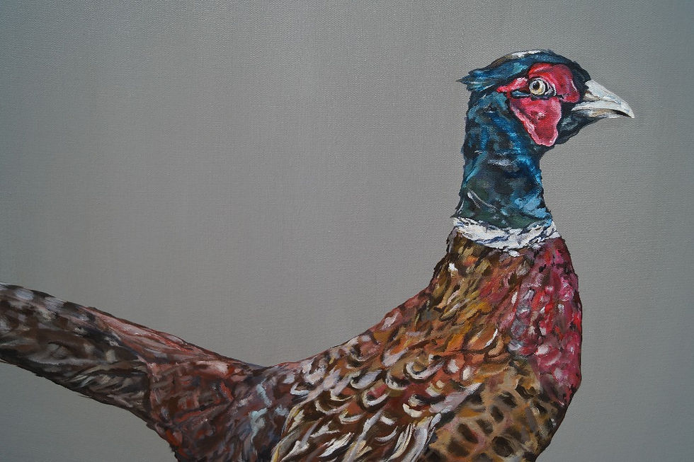 Thumbnail: Funny Pheasant Painting