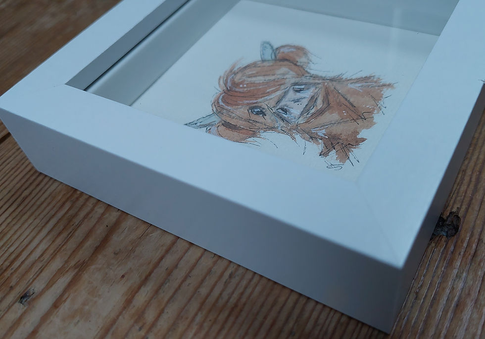 Watercolour Painting Highland Cow