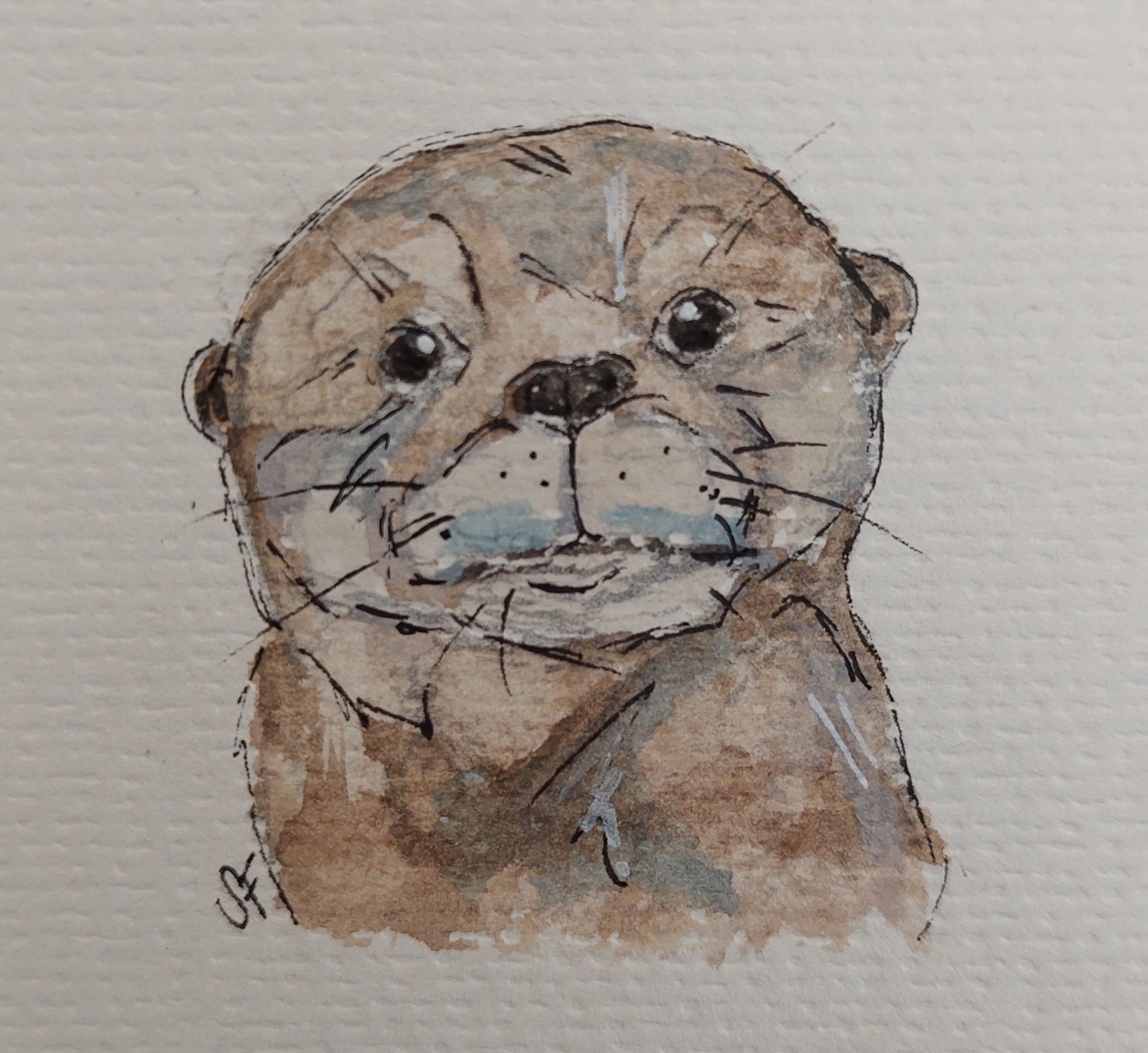 Watercolour Otter Painting Framed