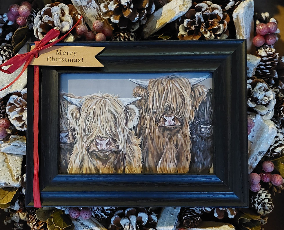 Framed Highland Cow Print UK