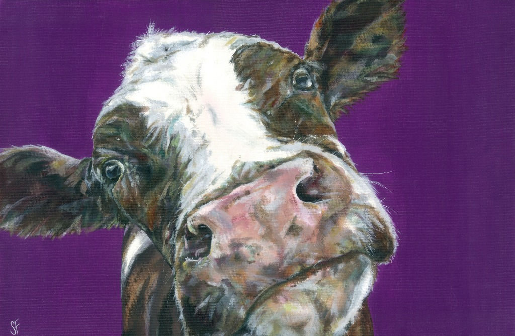 Soppy Cow Looking At Camera Print