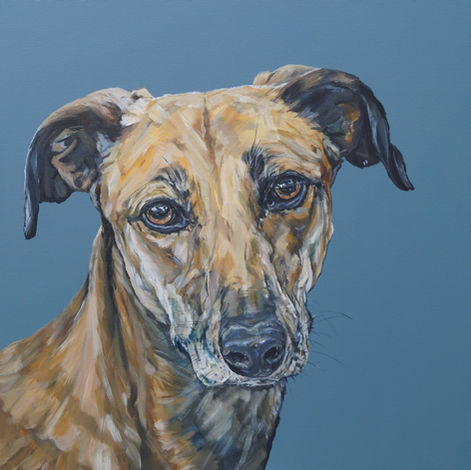 dog-painting-pet-portrait-sam-fenner