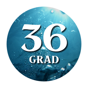 golf area 36 kreis2.png