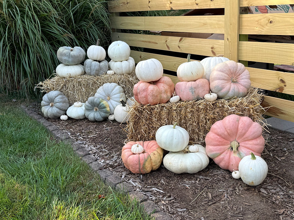 Photo Oct 03 2025, 9 32 18 AM