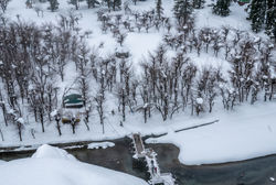 KASHMIR