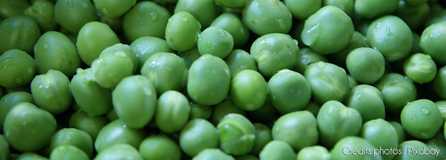 C'est de saison : les fruits et légumes du mois de Juin
