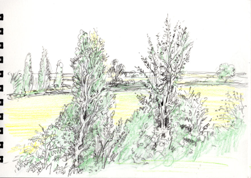 Likely landscapes