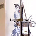 Wall printing, wall decor
