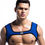 Thumbnail: JockMail body chest harness sexy bondage gay men clubwear front man red blue black yellow
