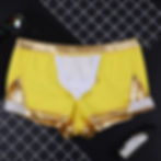 PVC Leather Boxer Briefs for Men Tanners Shiny Underwear Disco Party Sexy Panties Shiny Briefs Nightclub Fashion yellow