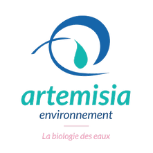 Artemisia-349x400_edited.png