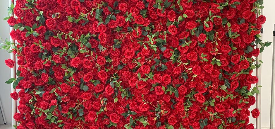 rose wall.JPG