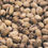 Thumbnail: pistachio nuts