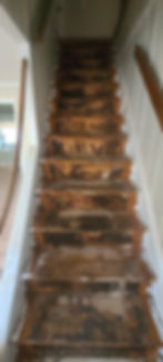 interior stairs tread replacement before