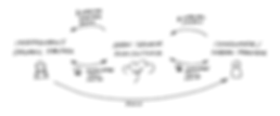 OpenAg_Web(output)-29.png