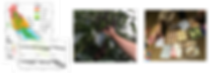 OpenAg_Web(output)-010.png