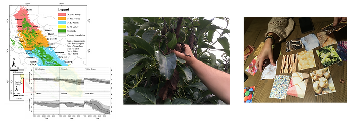 OpenAg_Web(output)-010.png