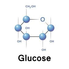 The Glucose Molecule is Essential to Life