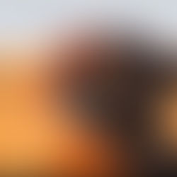 Calculus II, Call Your Uber