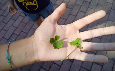 Sostenibilità ambientale