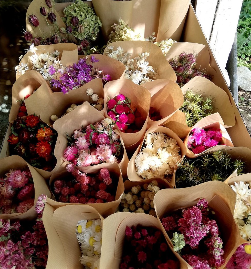 fleurs séchées de production française et bio pour la fleuriste ecoresponsable Man-fado
