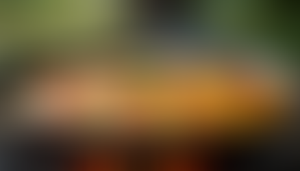 Paella Catering: Perfect for Every Occasion