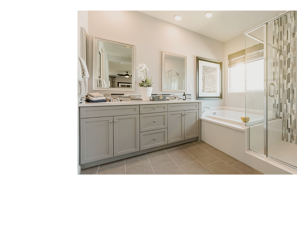 bathroom reno.png