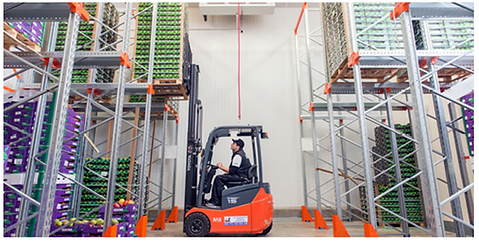 Halls France significant expansion with state-of-the-art packing and ripening facilities in Rungis.