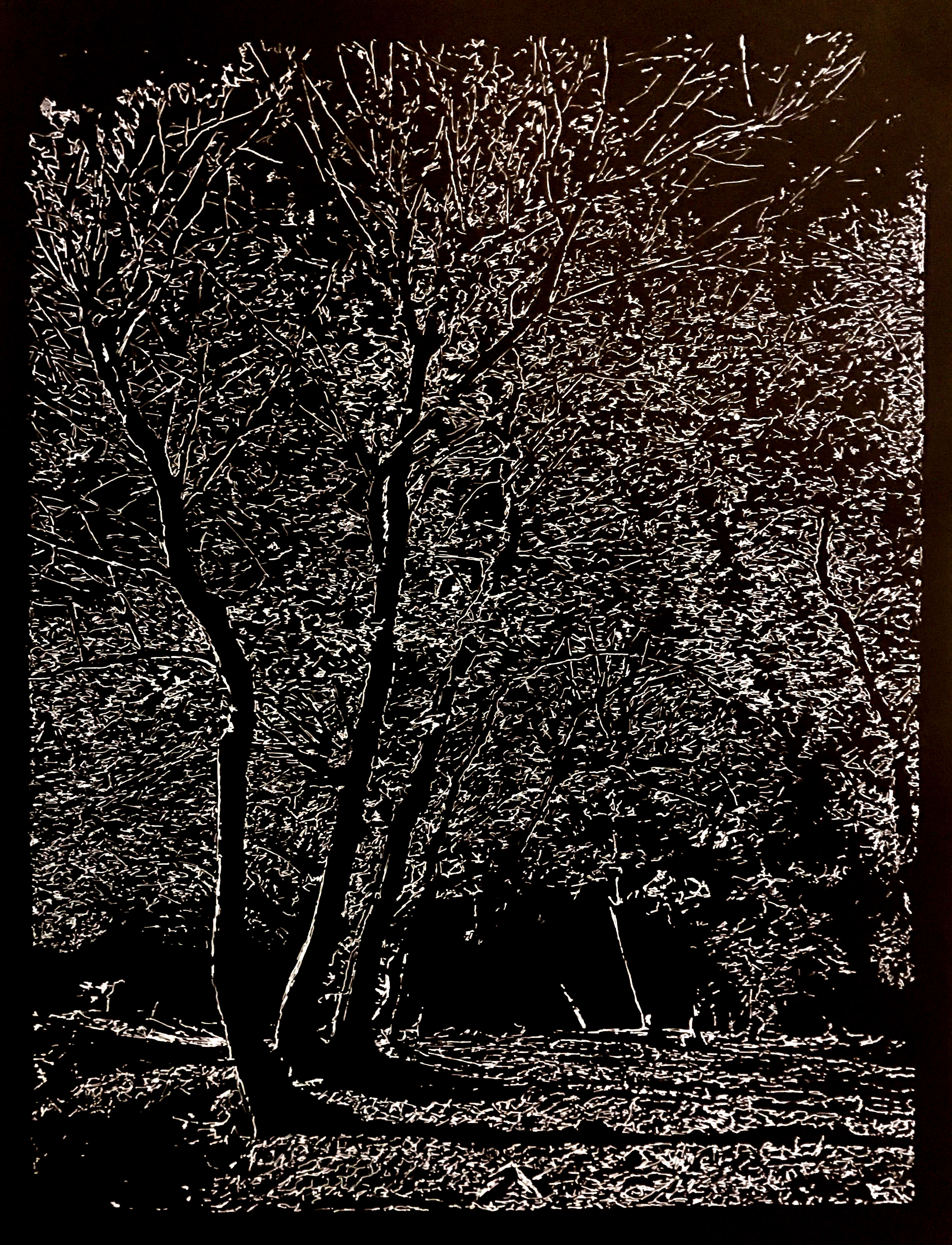 San-Gialado1web