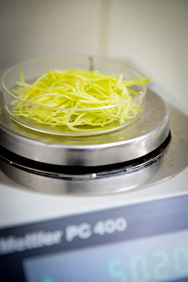 halls best practices avocado testing