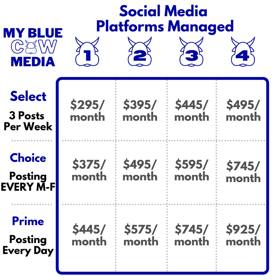 Social Media Platforms Managed Pricing.p