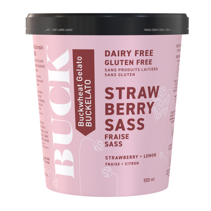 BUCK Gelato Frozen Dessert | Strawberry SASS