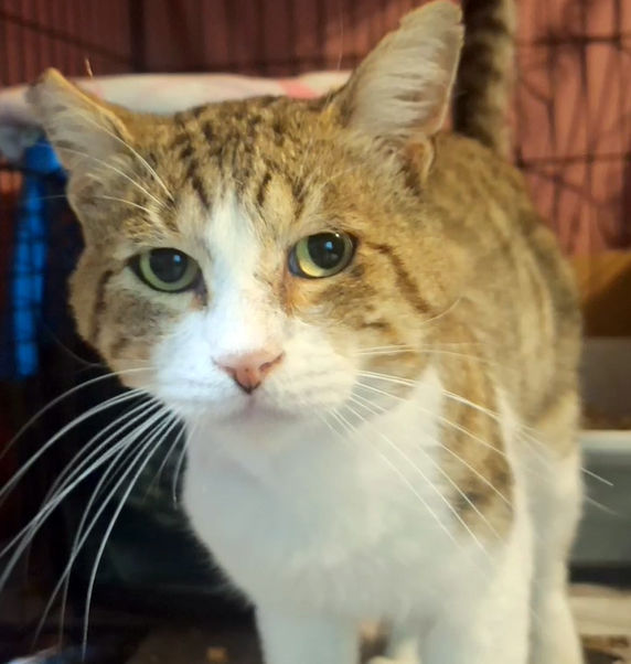 Frankie's transformation story, part 1