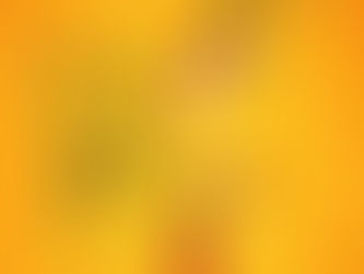 सदगुरु कृपा विशेषांकः जीवन एक संतुलन