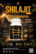 DXN Shilajit Plus Capsules Poster