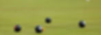 lawn-bowls-banner-4.jpg