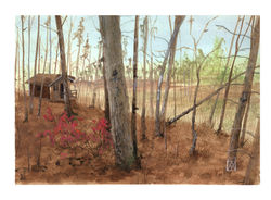 prevue automne a shenandoah